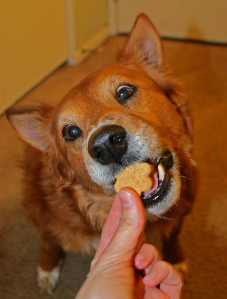 nik-snack
