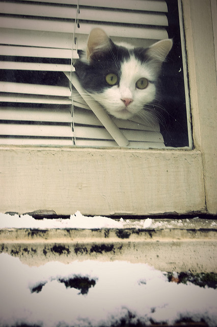 "Snow day!"