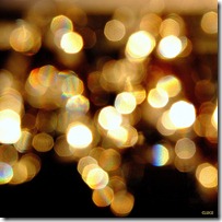 Photo- Jerine