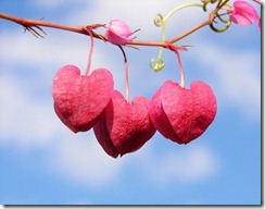 Sweet Somethings- Valentines Gifts