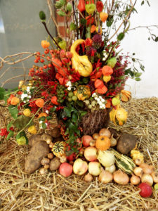 apple harvest decorations