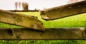 old, broken fence