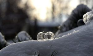 frozen bubbles