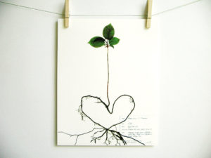 paper heart tree