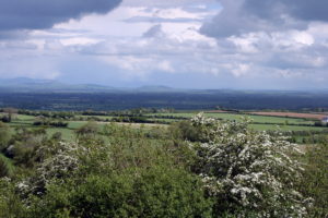 plains of Ireland