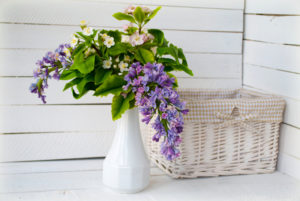 spring lilacs