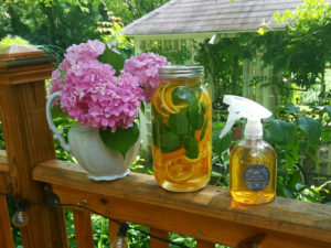 DIY citrus cleaner