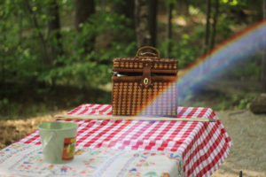 a summer picnic gift