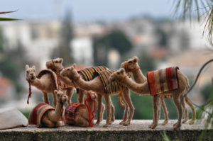 camels for three kings