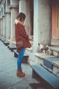 matching pet outfits