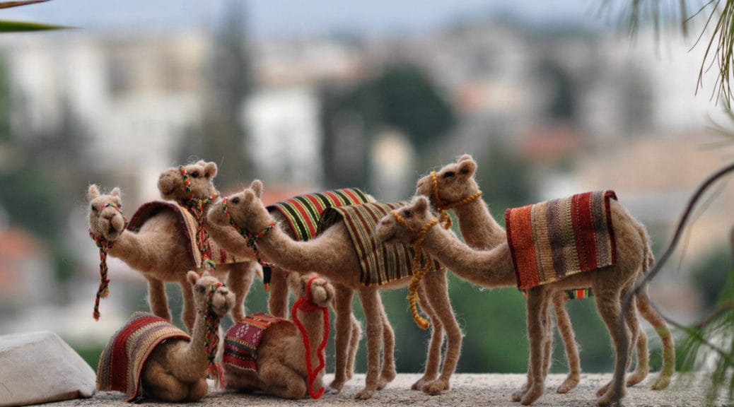 Group of Camels