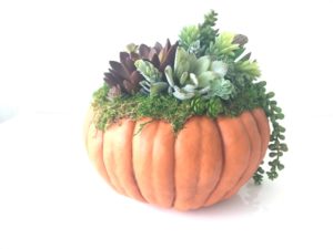 pumpkin wedding centerpieces for fall