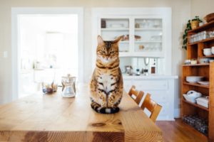 home improvement ideas for a 2018 wedding registry