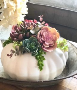 succulent centerpiece