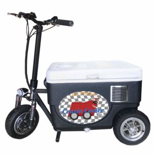 motorized cooler