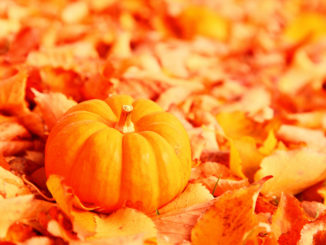 Little Pumpkin with Fallen Orange Autumn Leaves