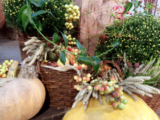 apple harvest decorations