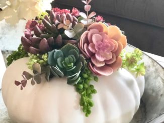 succulent centerpiece