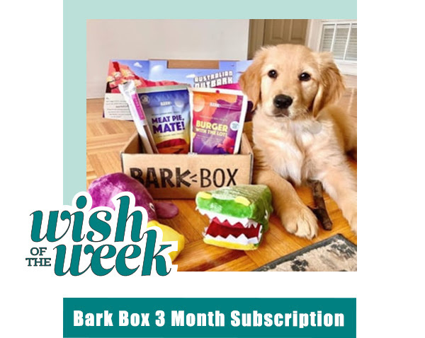 Bark Box 3 Month Subscription image