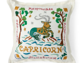 embroidered capricorn pillow