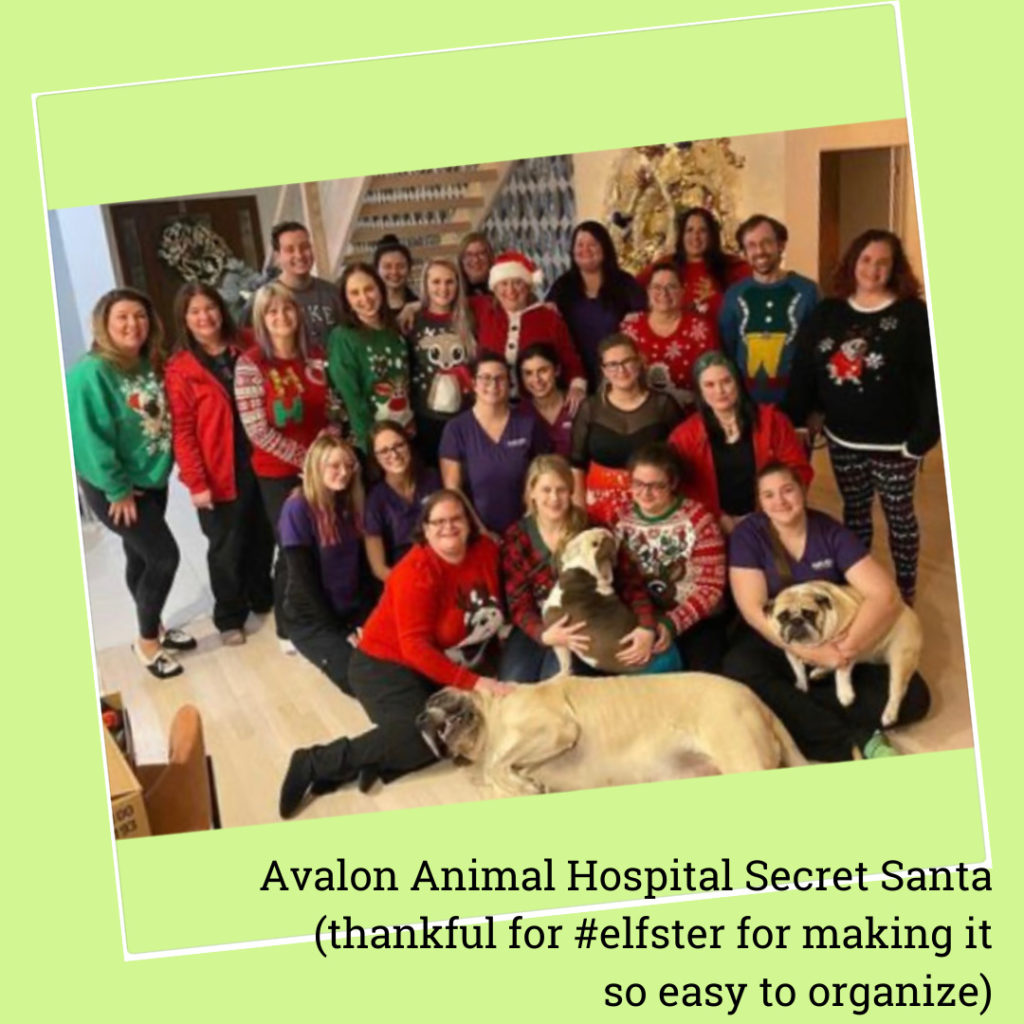 Animal hospital Secret Santa party