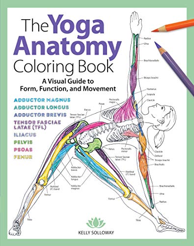 yoga anatomy coloring book