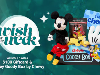 Chewy Box giveaway
