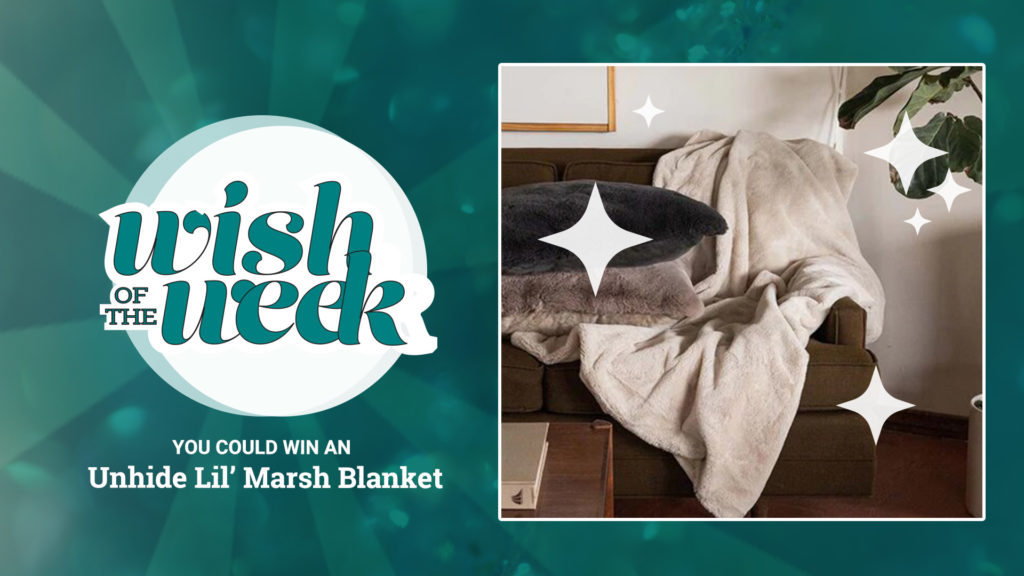 Wish of the Week for Unhide Lil' Marsh Blanket