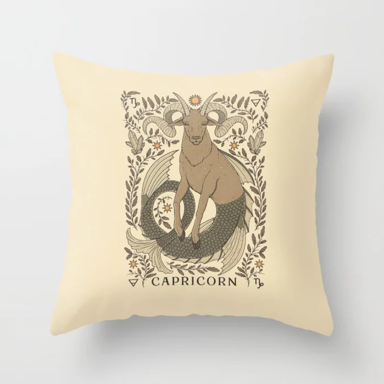 Throw pillow gift for Capricorn