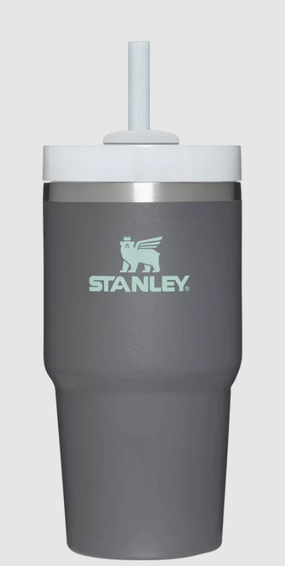 Stanley brand gray 20 ounce water tumbler with straw
