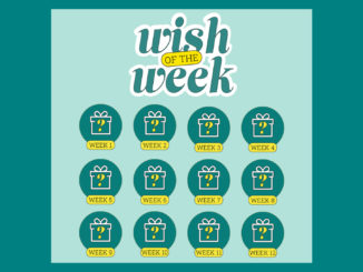 Elfster's 3rd annual Wish of the Week giveaway