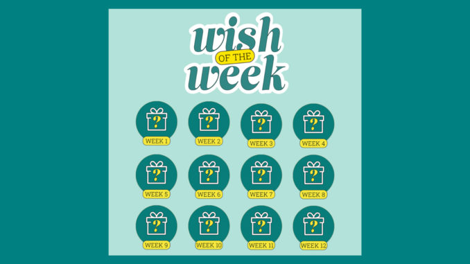 Elfster's 3rd annual Wish of the Week giveaway