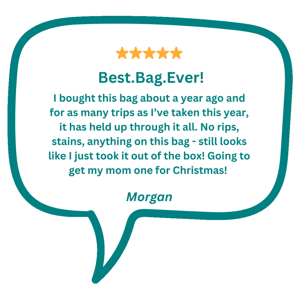 Beis Weekender bag being described as the best bag ever.
