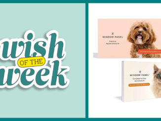Wish of the Week for a dog or cat DNA kit plus a $100 Chewy gift card