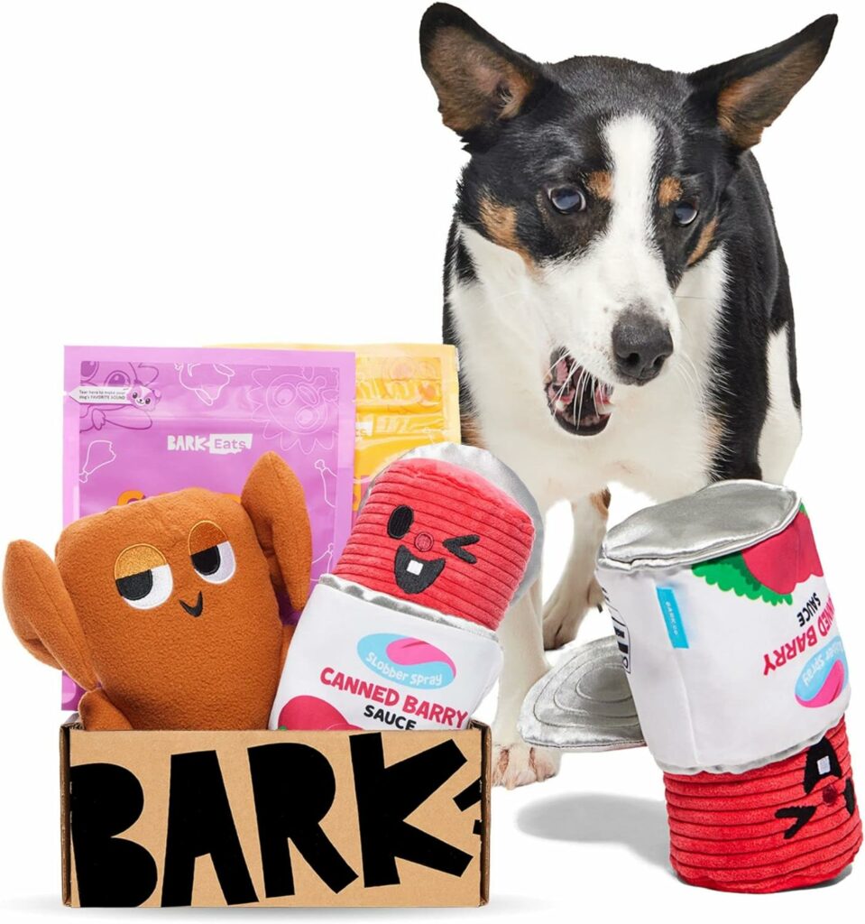 BarkBox monthly subscription box for dogs includes toys and treats for last minute gifts
