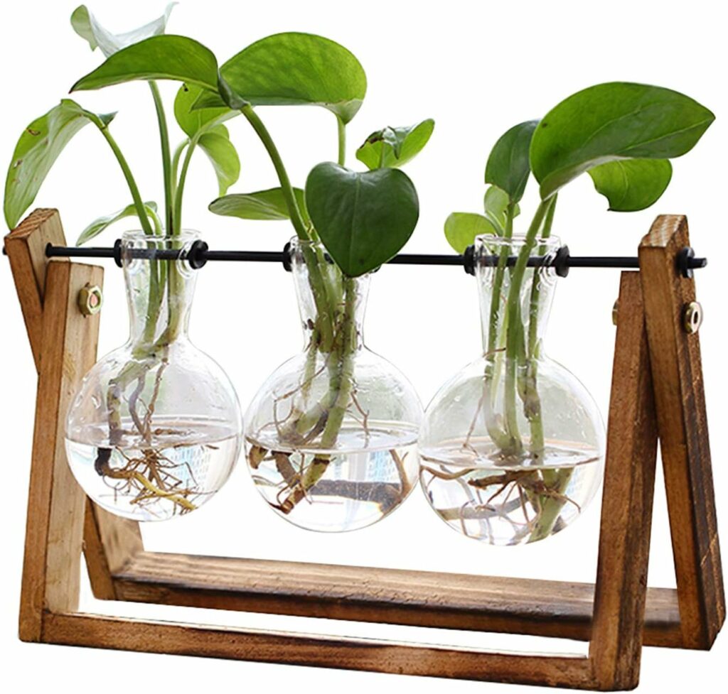 Plant propogation station with wooden stand for Taurus gift