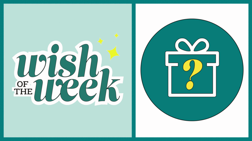 Elfster's Wish of the Week Giveaway