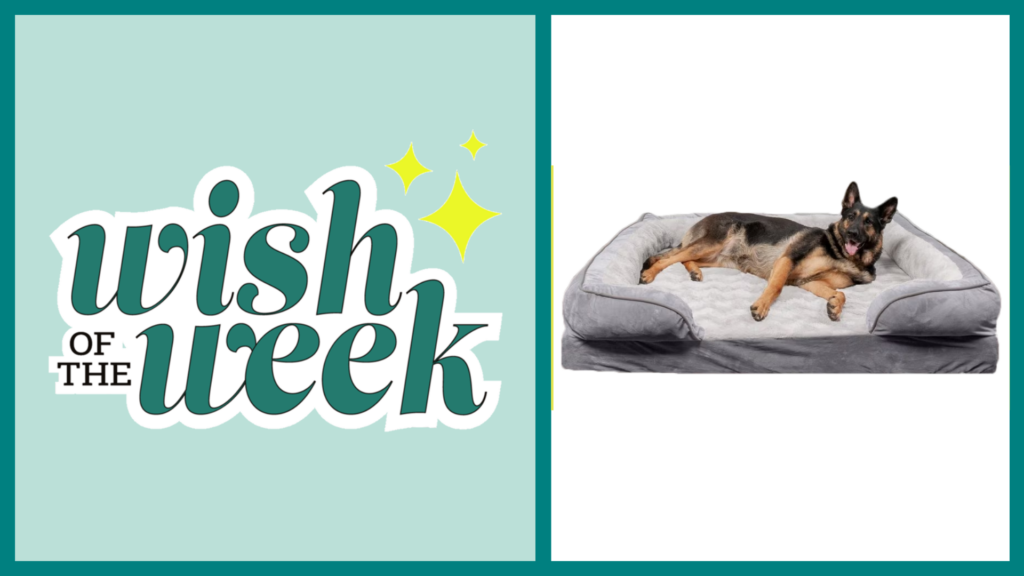 Win a Cat & Dog Memory Foam Bed in Elfster's Wish of the Week giveaway